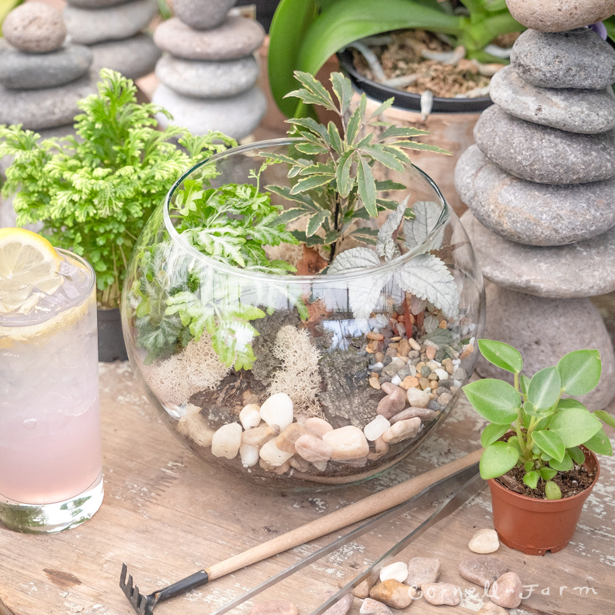 plant terrarium workshop Plant and Sip" Terrarium Workshop Seat – Cornell Farm