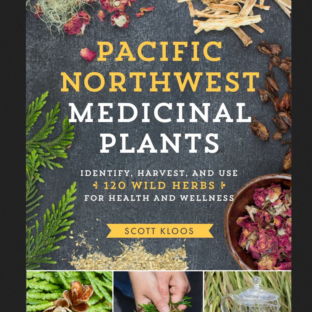 Pacific Northwest Medicinal Plants By Scott Kloos