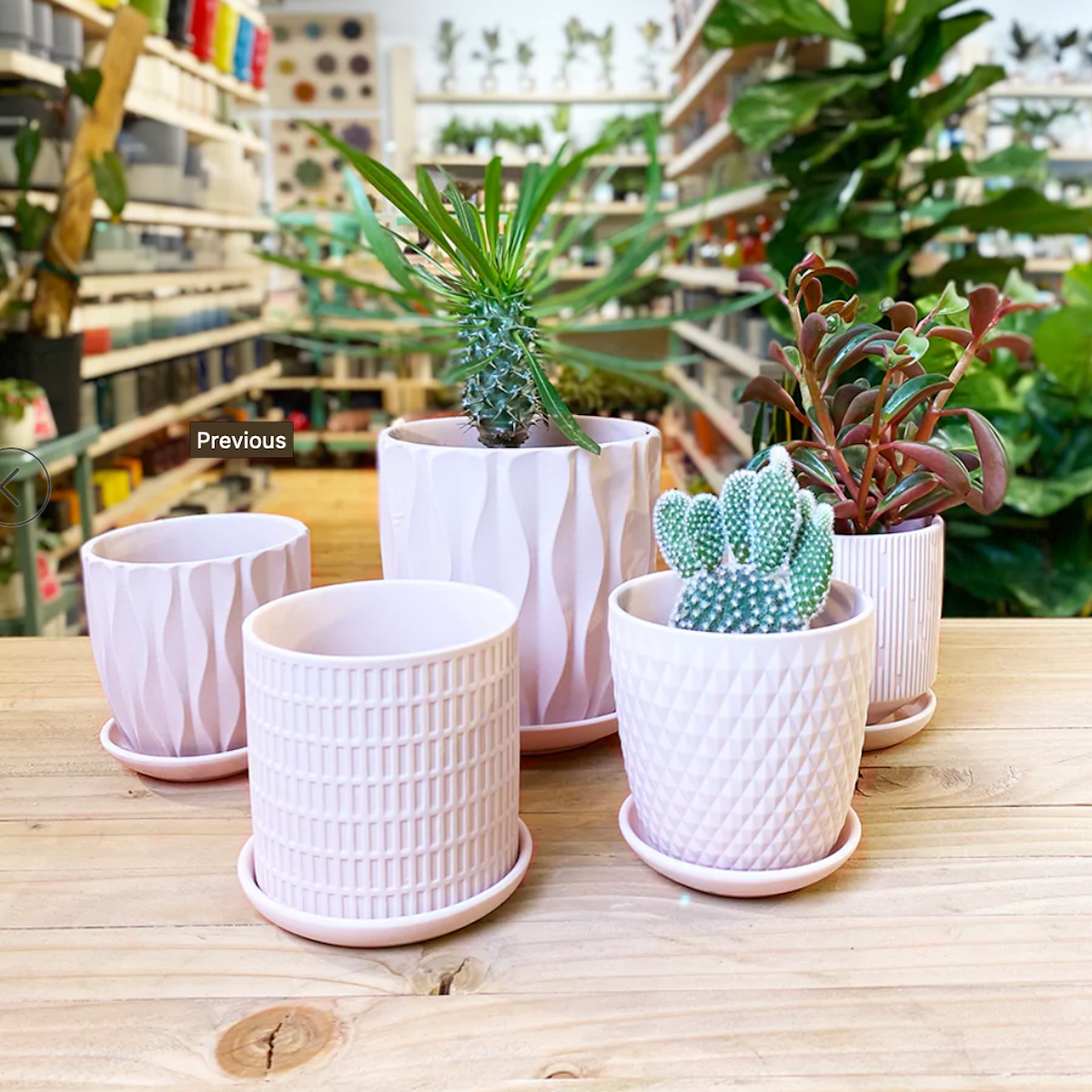 pink planter with saucer Virago 3in Pink Pot/Saucer – Cornell Farm