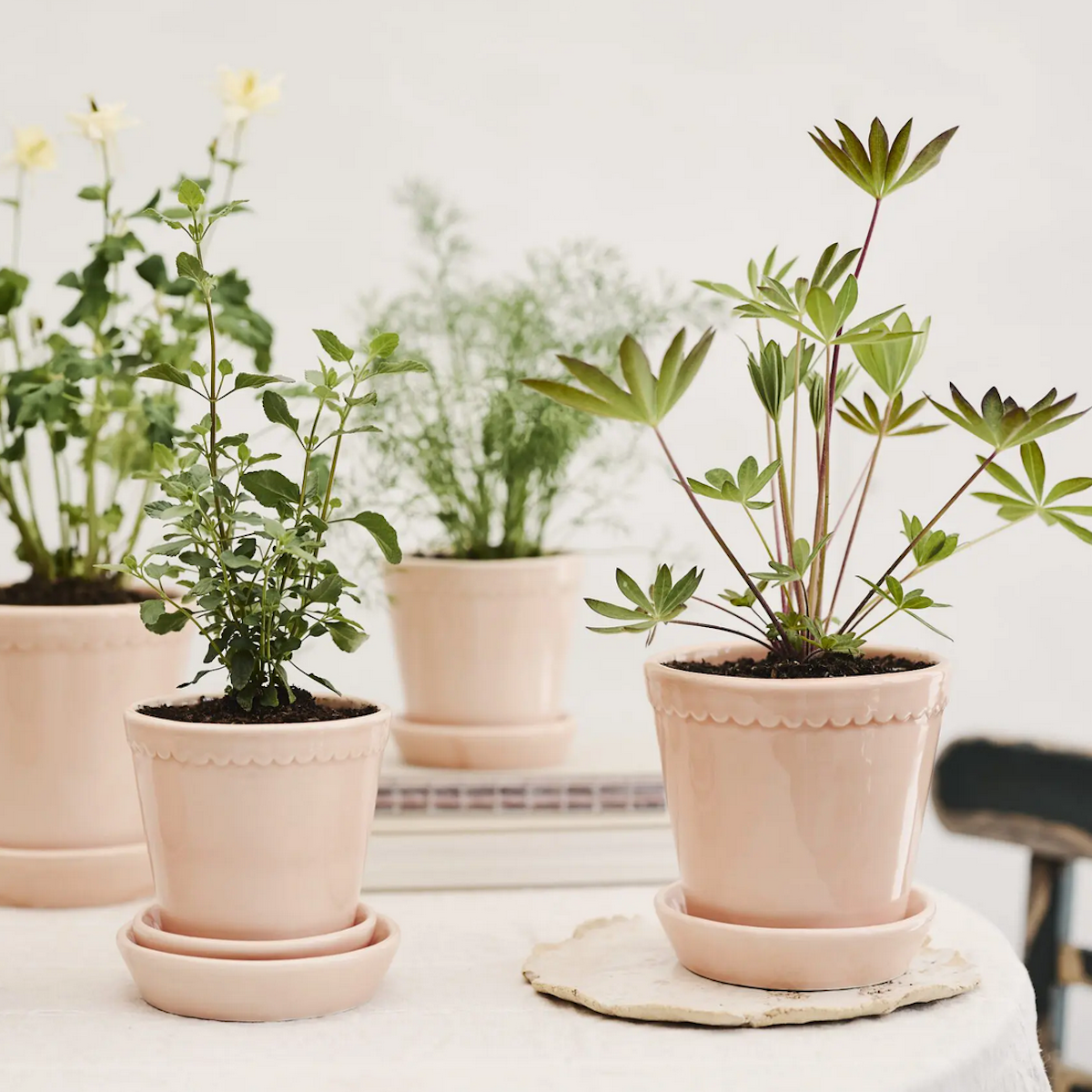 bergs plant pots Bergs Helena Set 14cm Quartz Rose – Cornell Farm