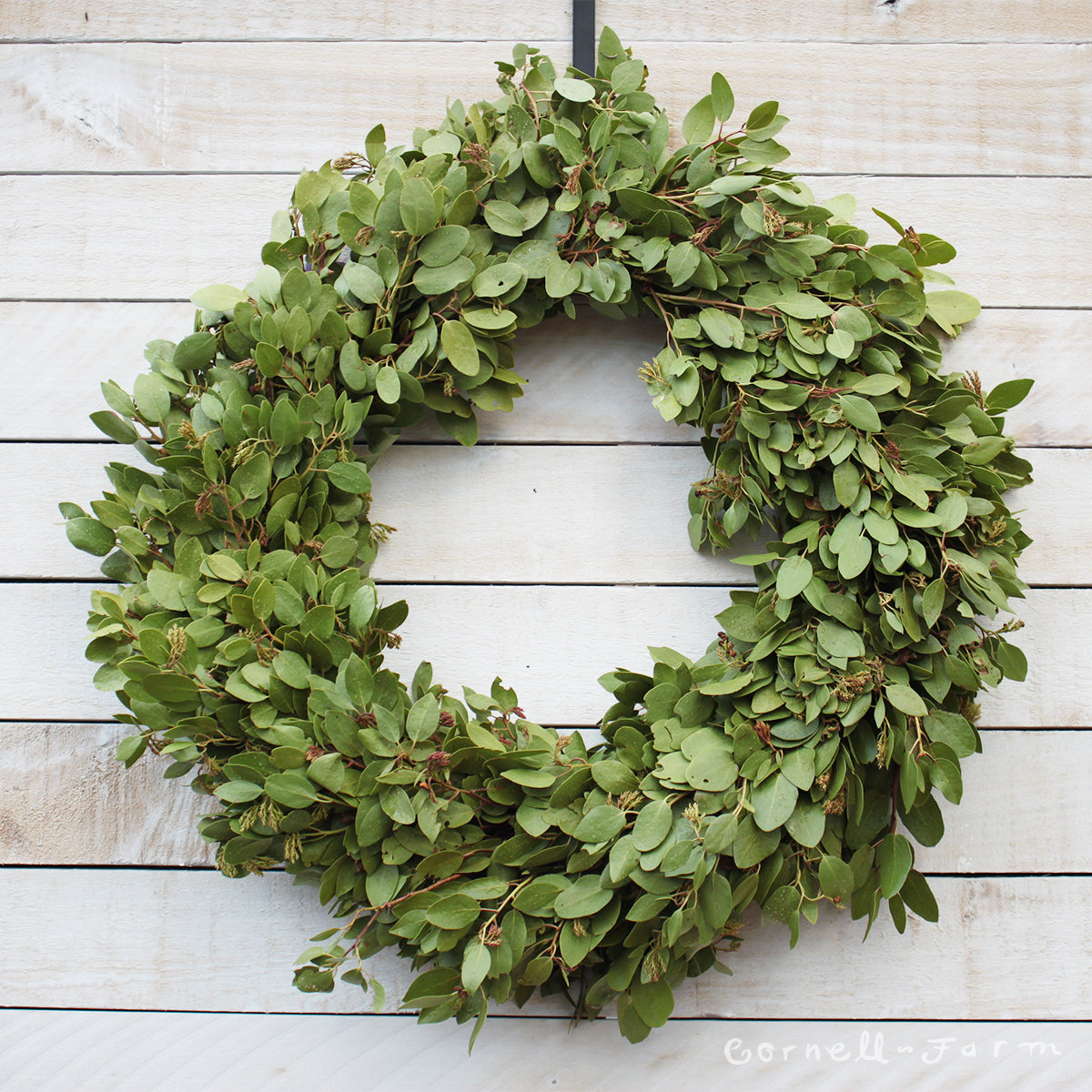 manzanita-air-plant-wreath Wreath Manzanita 16in
