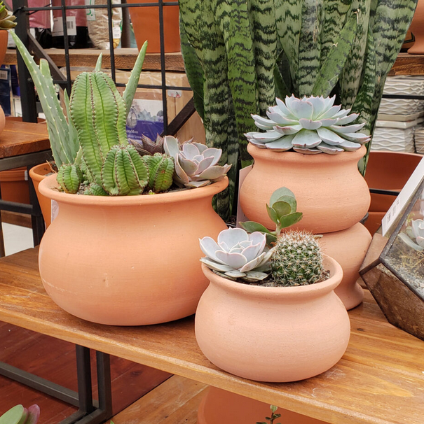terracotta succulent planter Terracotta Wash Pot Terracotta / 10′′D