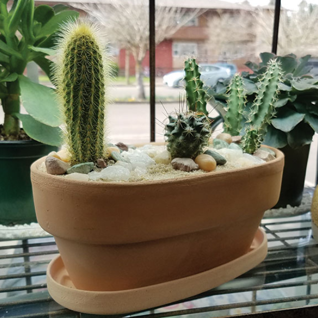 oval pot for plants TC Oval Pot 9in/23cm