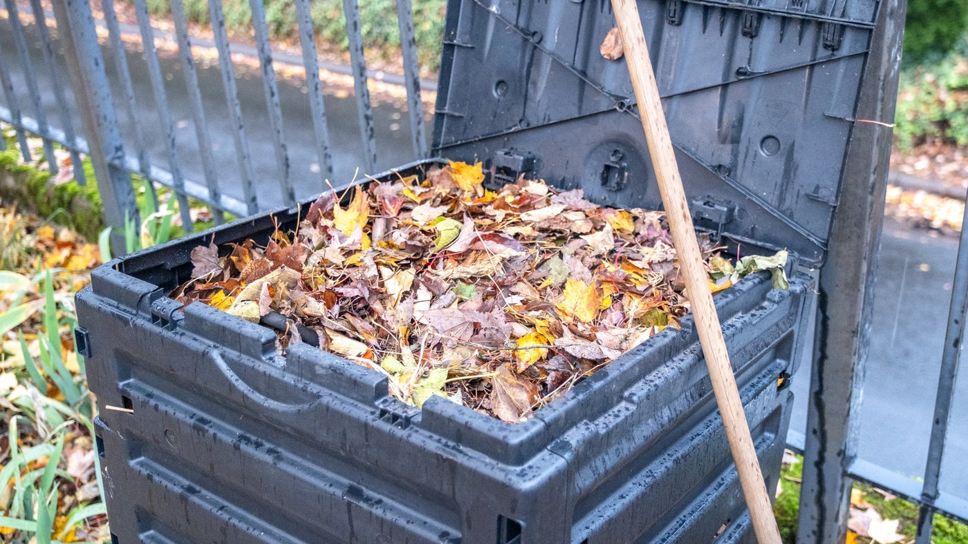 Composting At Home – Cornell Farm