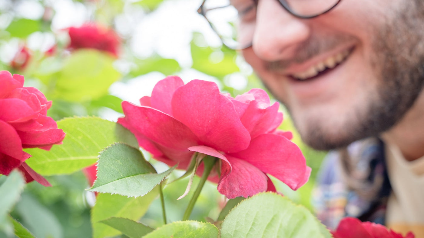 Gardening for Fragrance