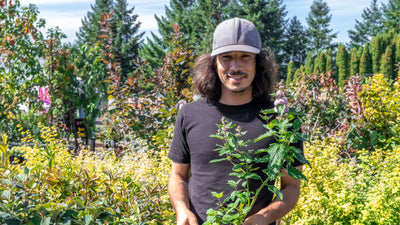Interview The Gardener: Jack Rico