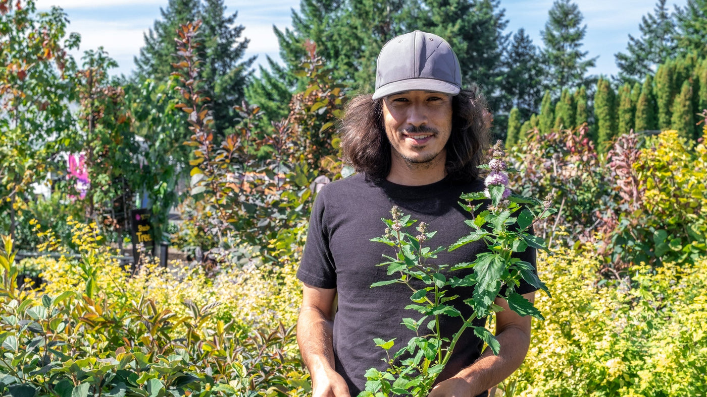 Interview The Gardener: Jack Rico – Cornell Farm