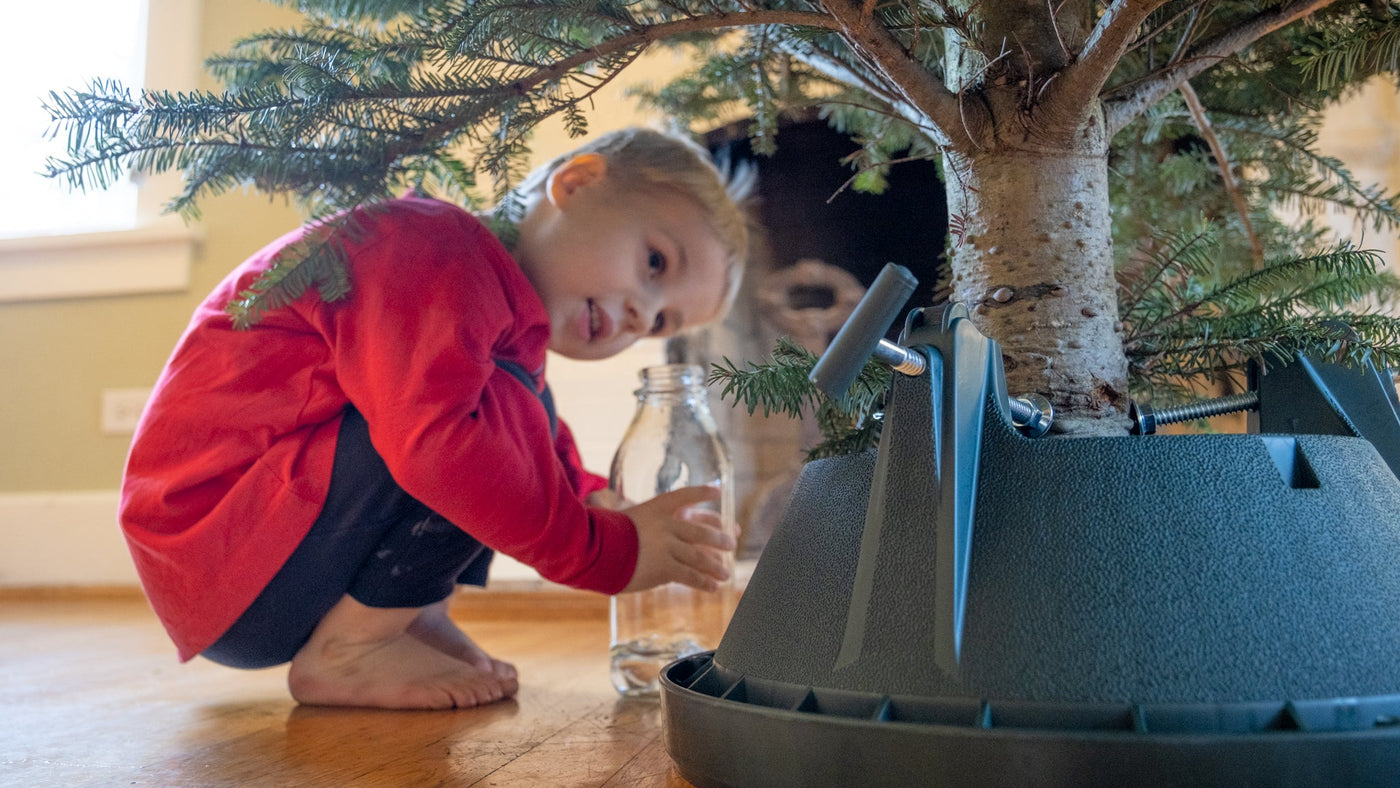 Fresh Cut Christmas Tree Care