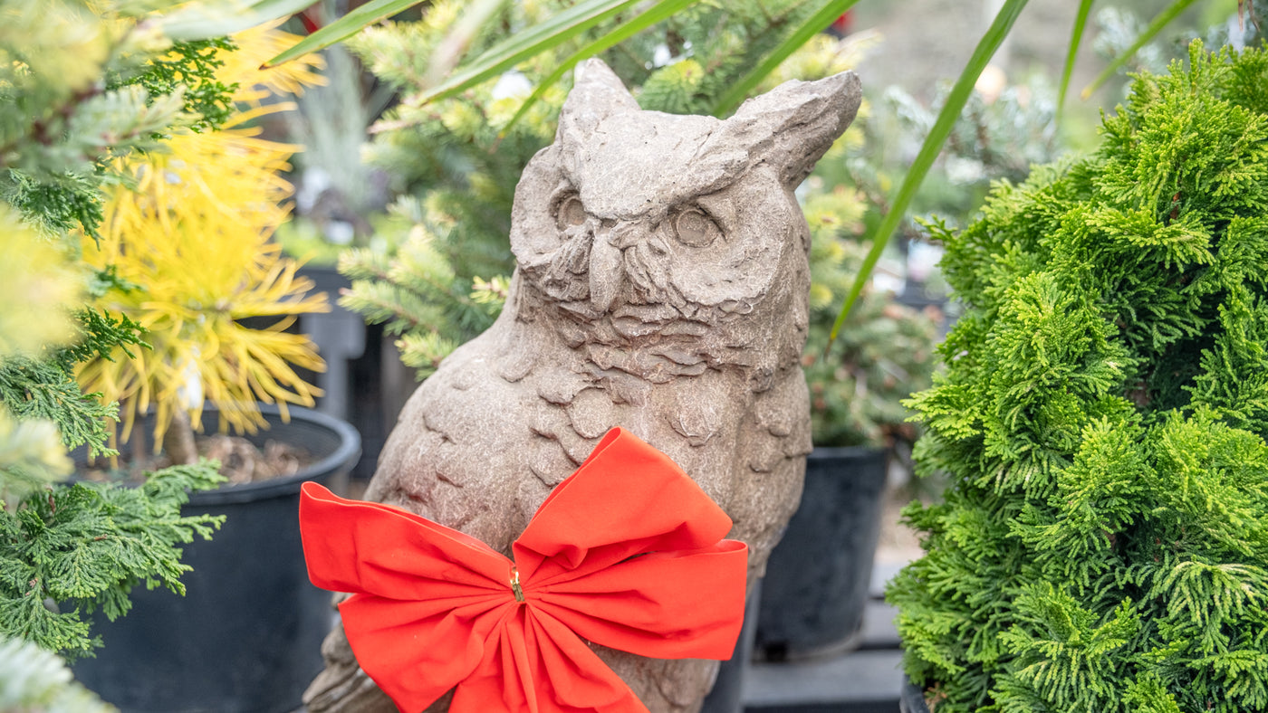 Our Top 10 Garden Gifts