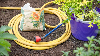 Summertime Planting
