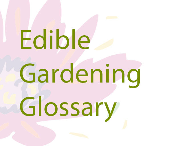 Edible Gardening Glossary