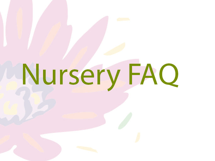 Nursery FAQ