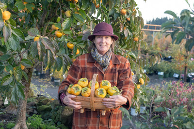 Growing 'Exotic' Fruit in the PNW