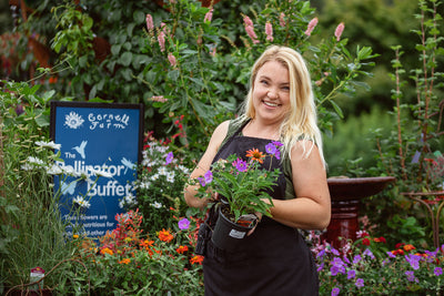 Interview the Gardener: Fiona Smeaton