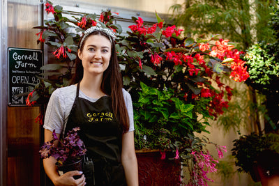 Interview the Gardener: Rachel Novotny