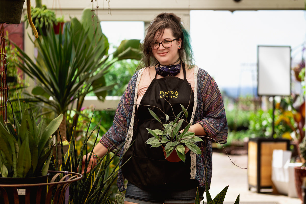 Interview the Gardener: Beky Connolly
