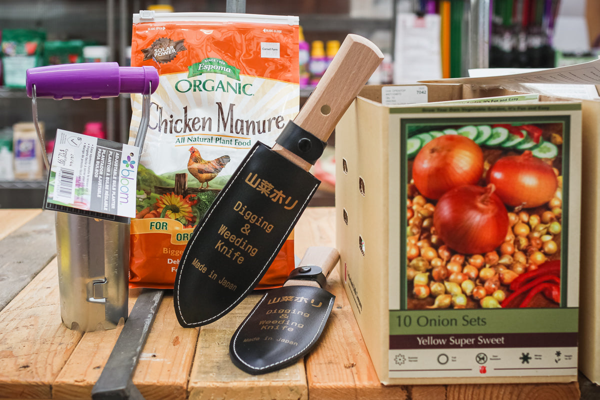 Planting in the Fall: What to Plant and What Tools to Use for Success