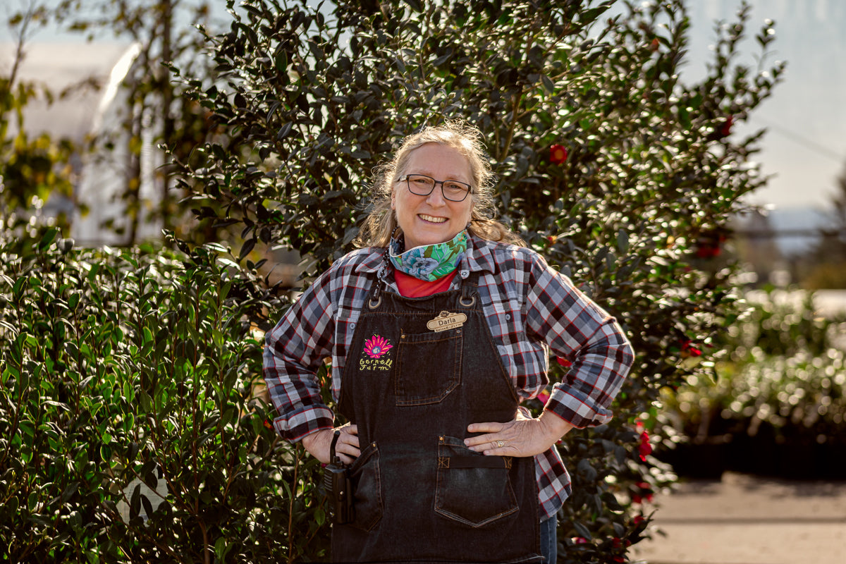 Interview the Gardener: Darla Van Bergen