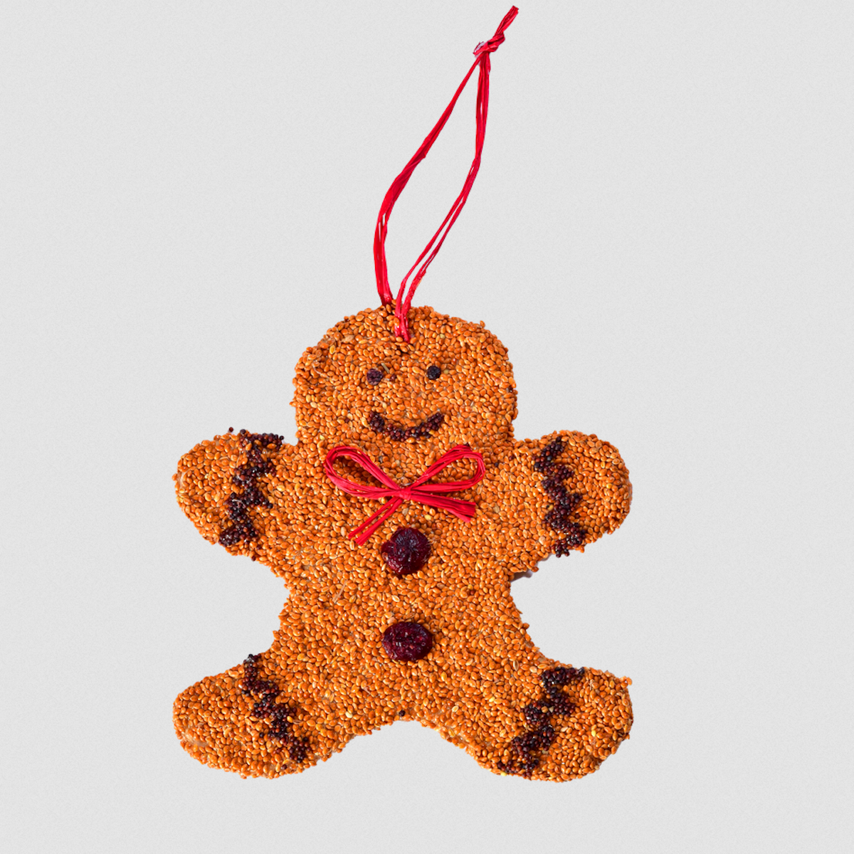 Gingerbread Christmas Bird Seed Cookie