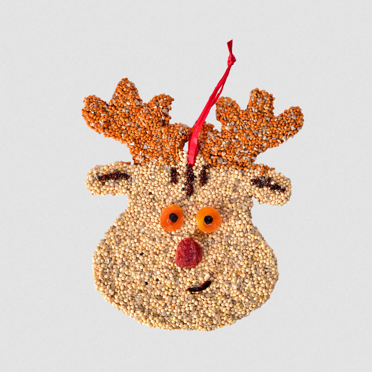 Rudolph Christmas Bird Seed Cookie