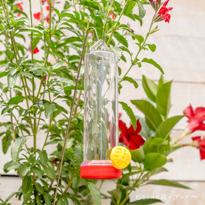 PP Hanging Basket Hummingbird Feeder