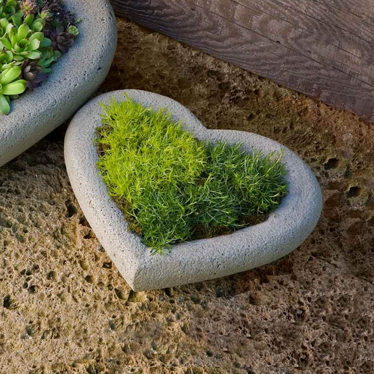 Heart Planter, Small GS