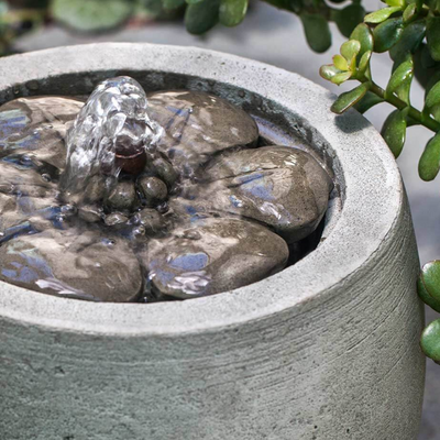 M-Series Camellia Fountain LA