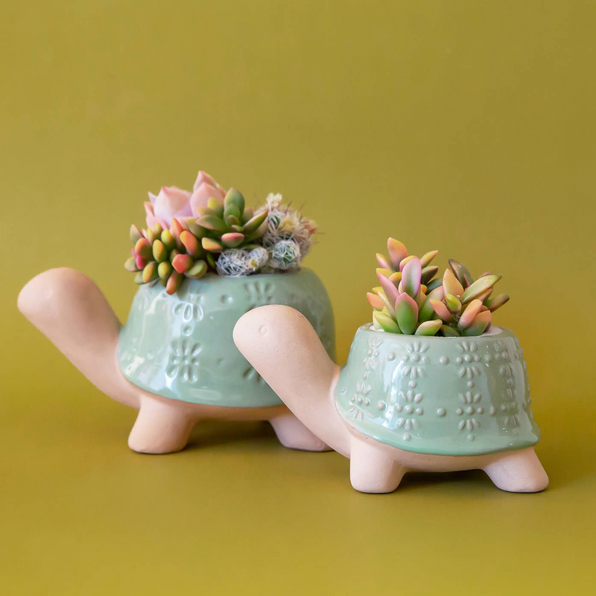 Turtle Planter med Lagoon Green