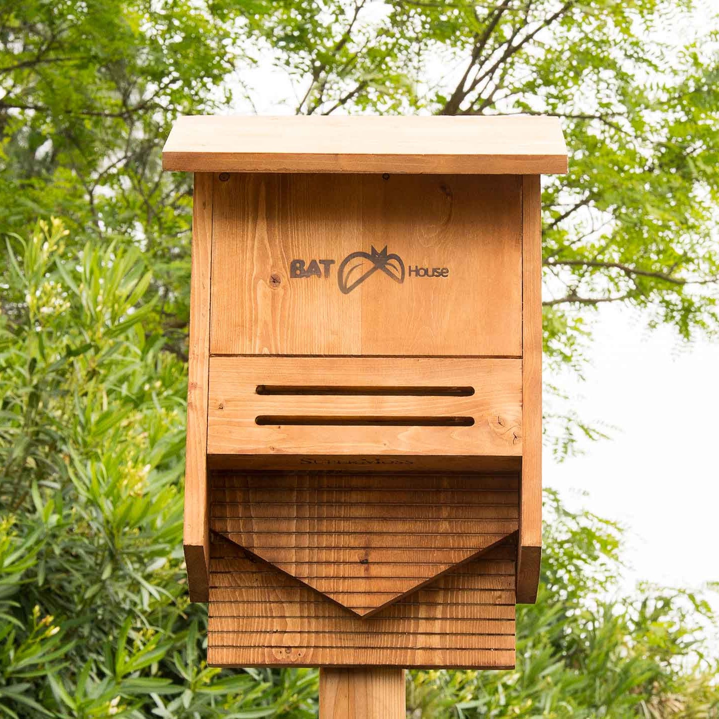 Super Moss Bat House Walnut 100 Bats – Cornell Farm