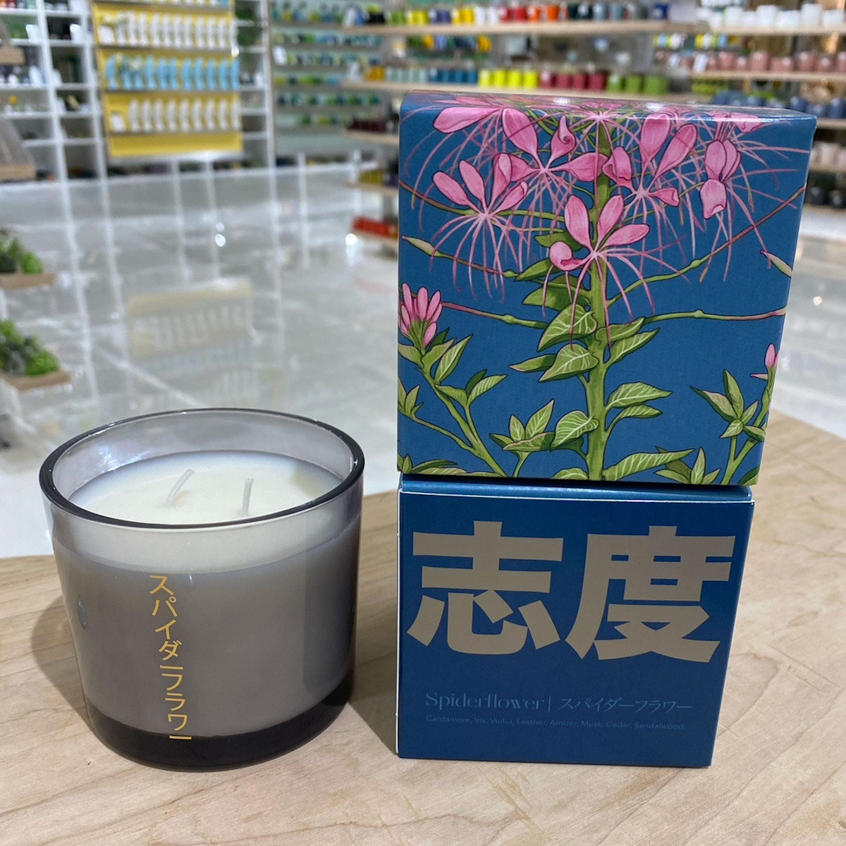 Shido Candle Spiderflower