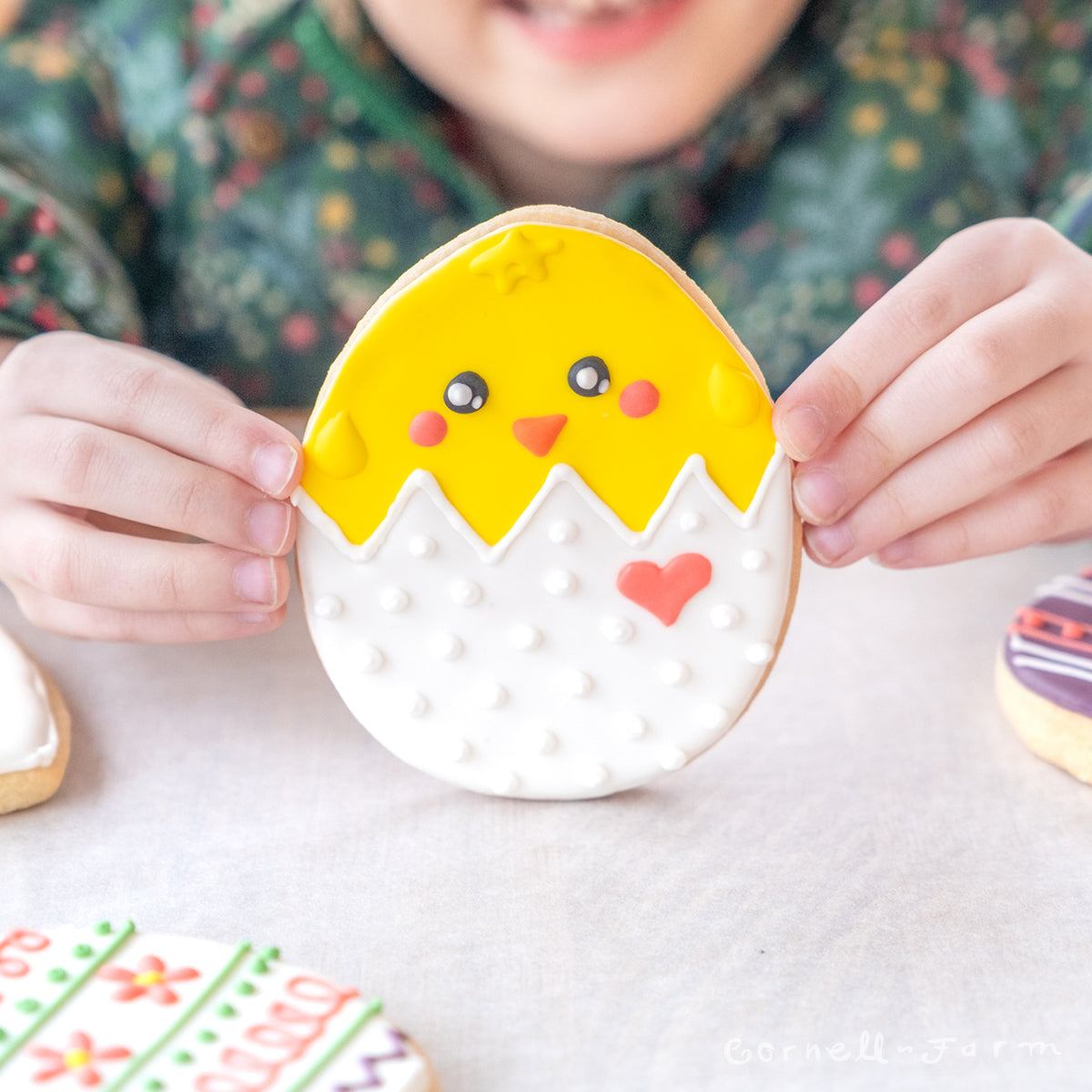 Kids Class: Easter Cookie Decorating Seat