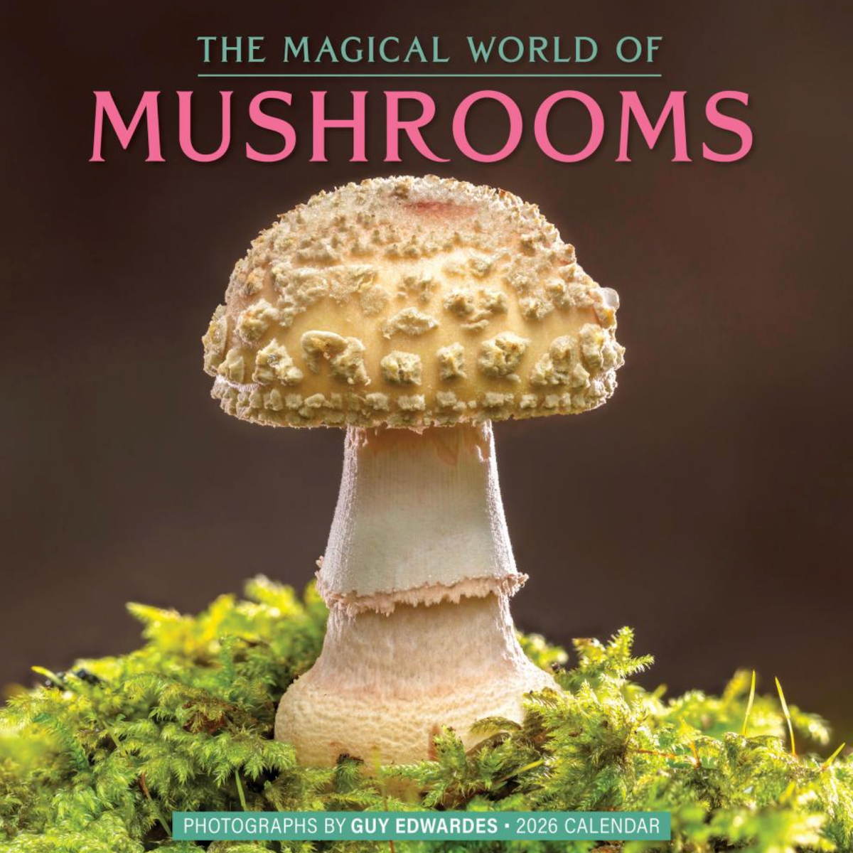The Magical World of Mushrooms Wall Caledar 2026