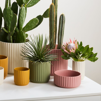 Beam Bowl 8x3.5 Ochre Yellow