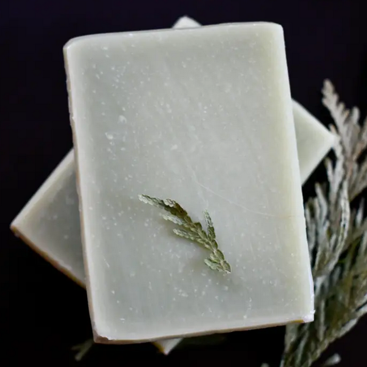 Olive Oil Soap - Forrest