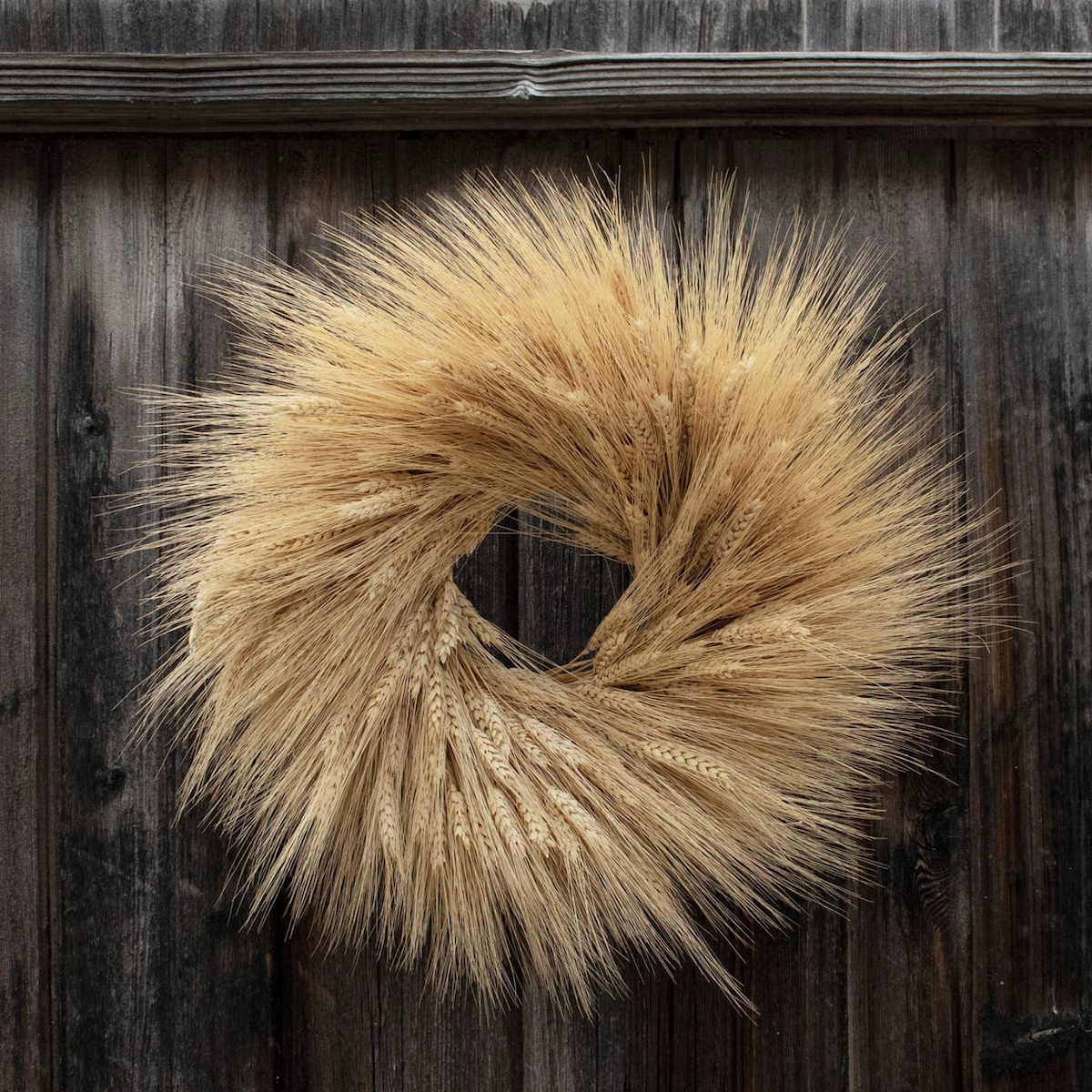 Dried Wreath 18" Wheat