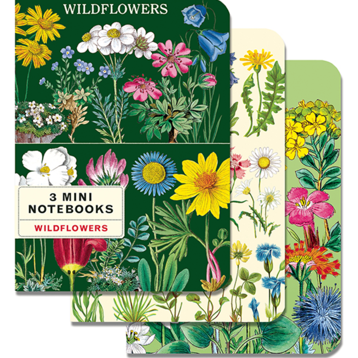 Cavallini Mini Notebook S/3 Wildflowers II