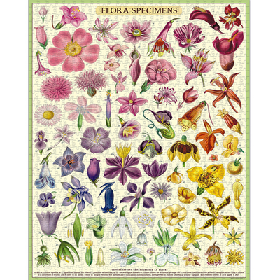 Flora Specimens Cavallini Puzzle Tube 1000pcs