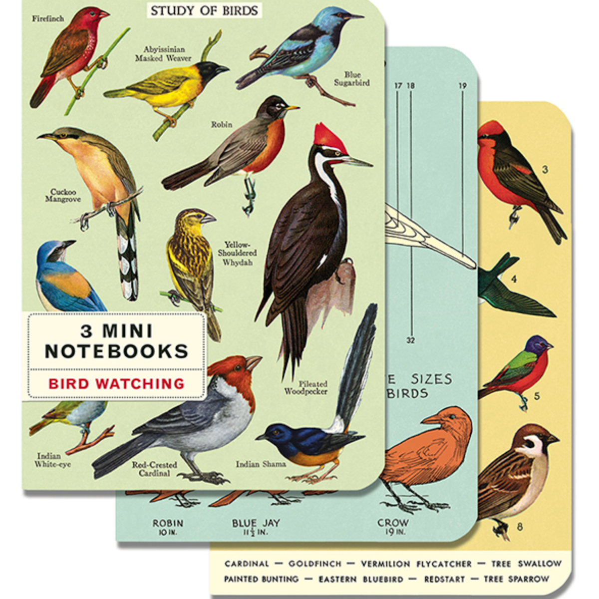 Cavallini Mini Notebook S/3 Bird Watching