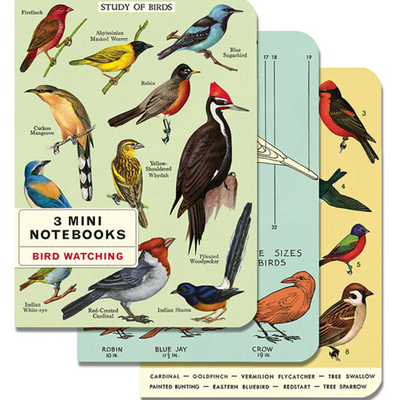Cavallini Mini Notebook S/3 Bird Watching