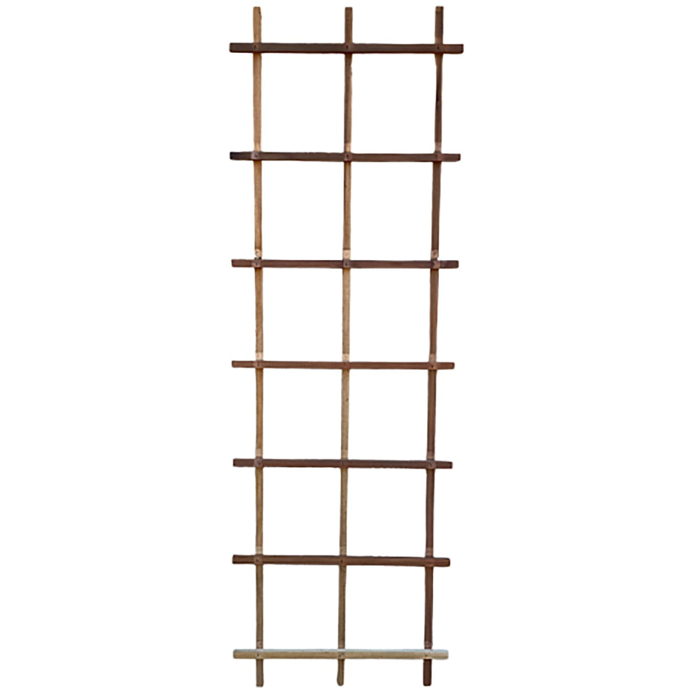 A&G 2'x6' Wooden Ladder Trellis