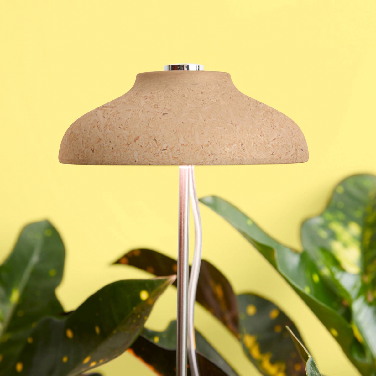 We The Wild Instant Sun Grow Lamp