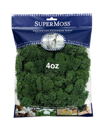 Long-lasting Preserved Moss!
Lovely soft and spongy texture
Washed and Cleaned to Remove Dust and Small Particles
Ideal for Covering Soil and Dressing Potted Plants
Great for Special Events, Home Decor, and Craft Projects
Non-toxic &ndash; Safe for people, pets, and plants
Naturally dried and preserved Reindeer Moss