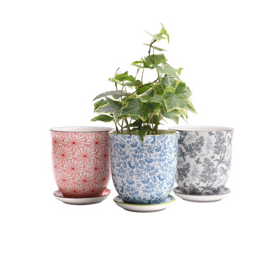 Liberte 4in Pot Red Flowers