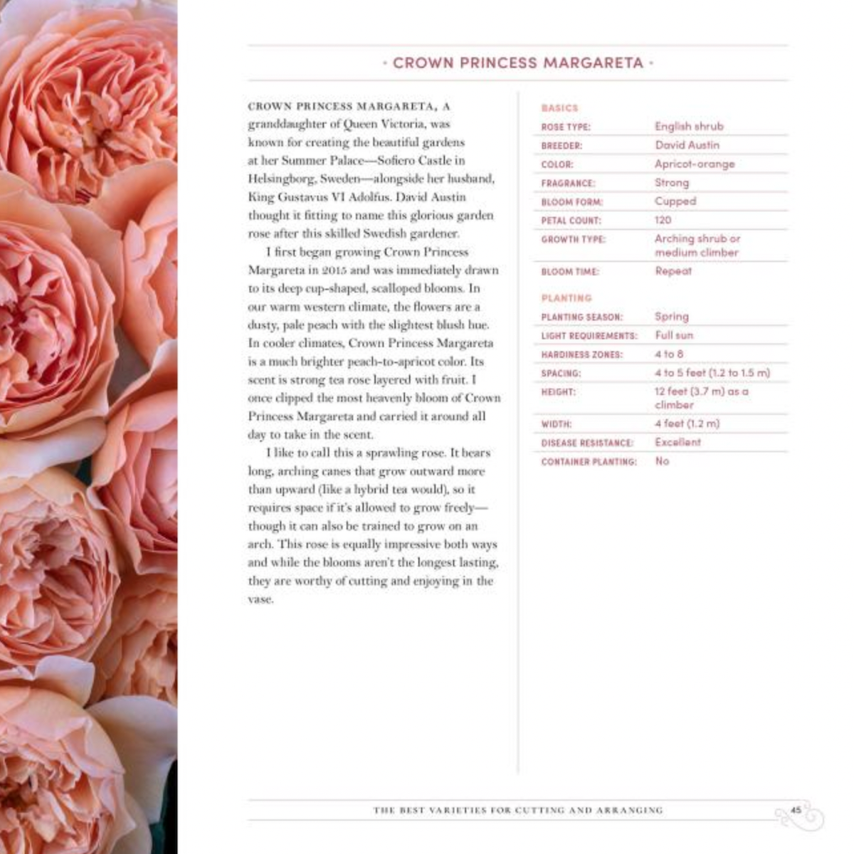 Grace Rose Farm: Garden Roses HC