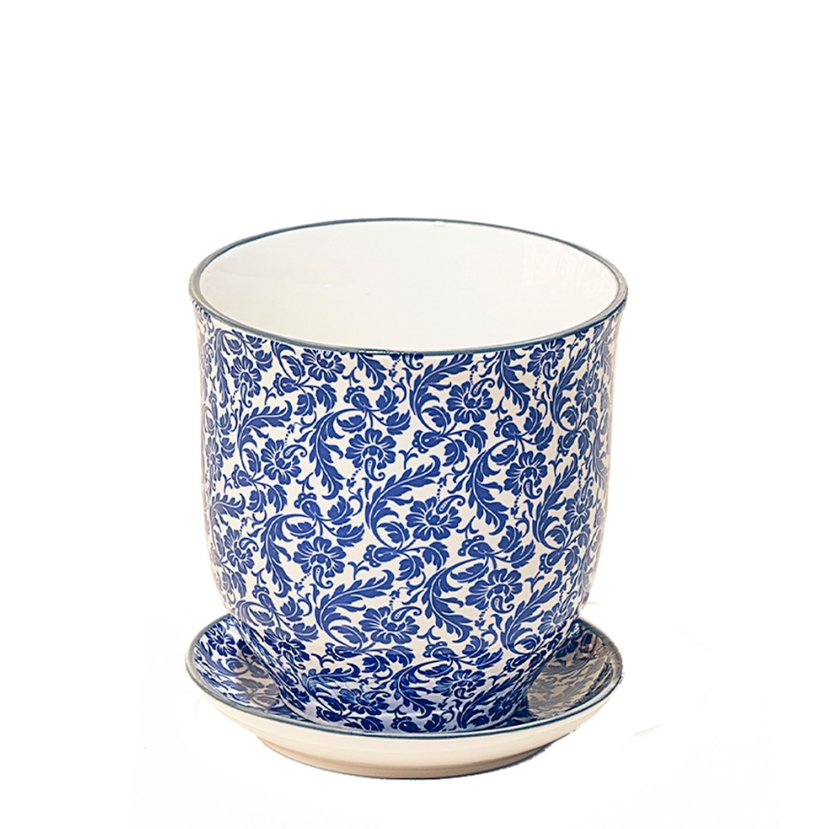 Liberte 4in Pot Blue Flowers