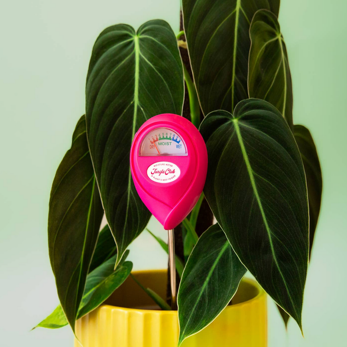 Moisture Meter Jungle Club Hibiscus
