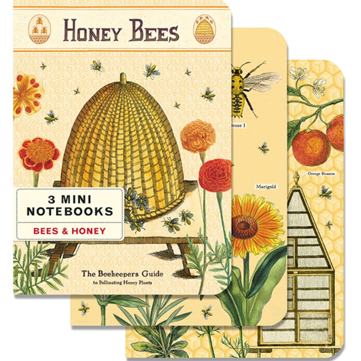 Cavallini Mini Notebook S/3 Bees &amp; Honey