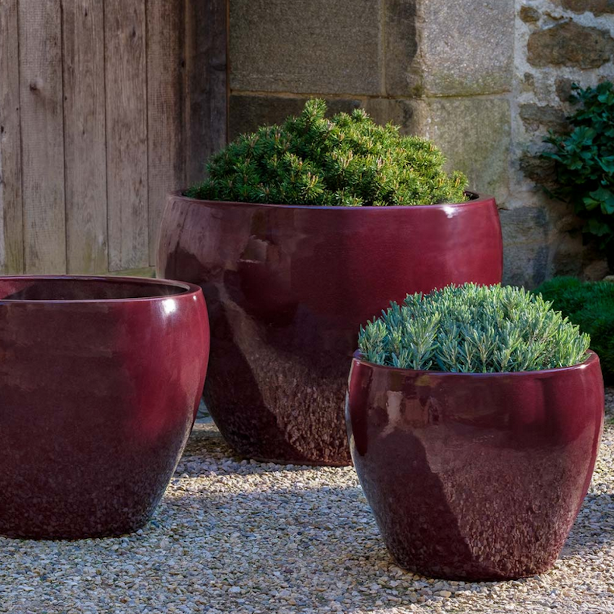 Cabachon Planter Large Plum