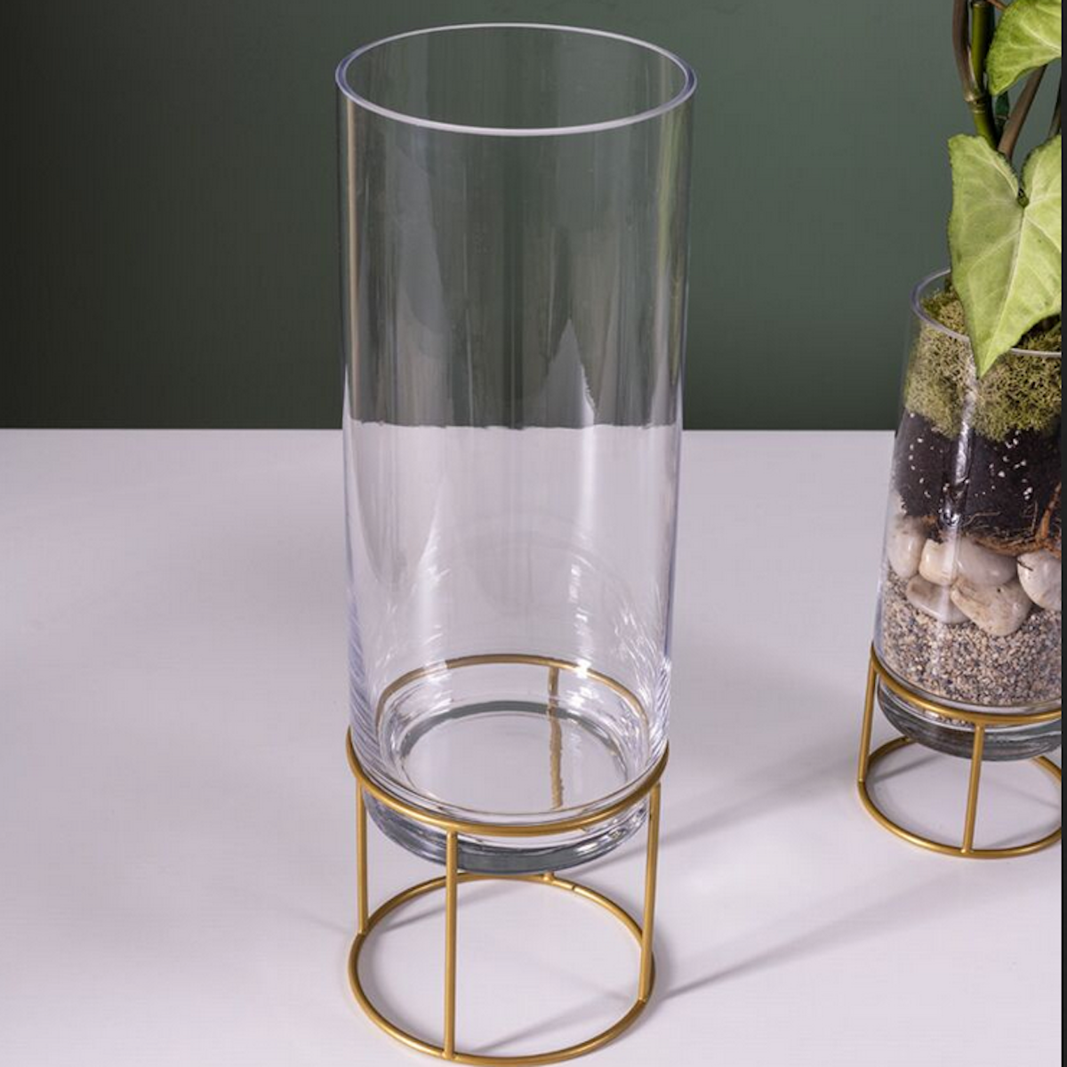 Pilotis Vase 5x15in Terrarium