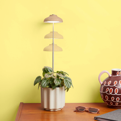 We The Wild Instant Sun Grow Lamp
